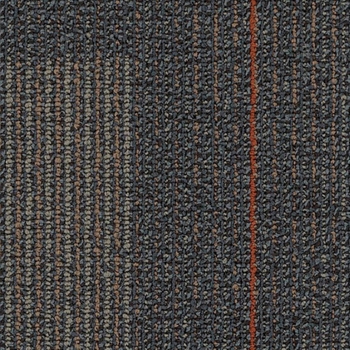 Shaw Contract Disperse Movement 24 x 24