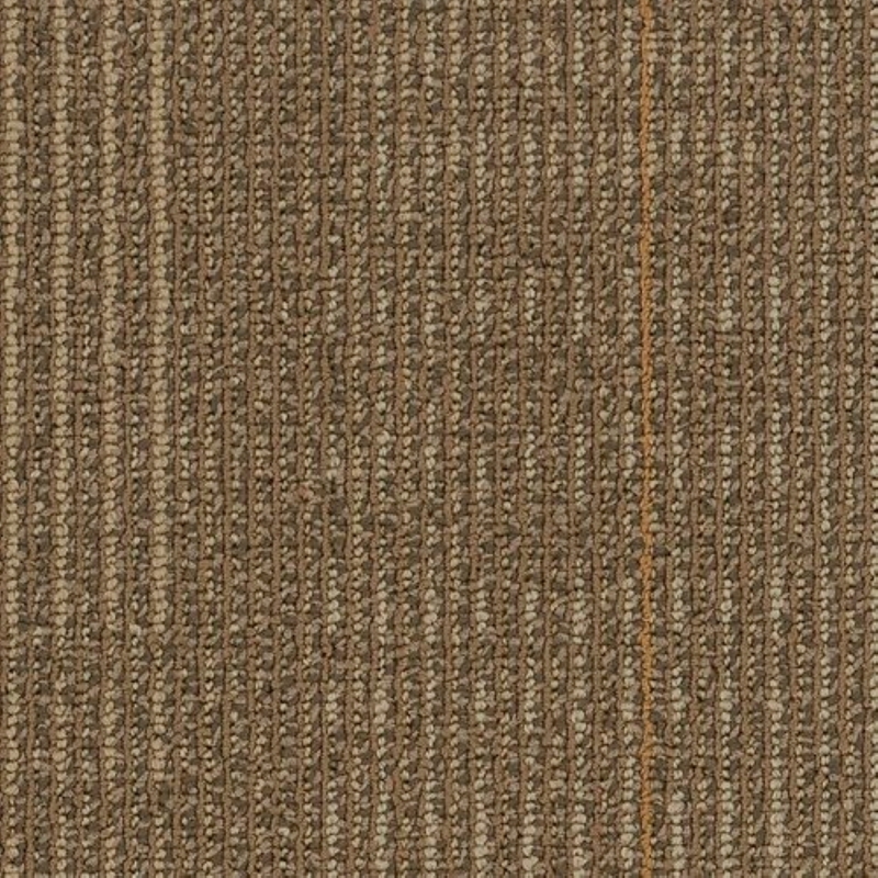 Shaw Contract Disperse Voyage 24 x 24