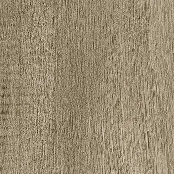 Shaw Contract Terrain II Ash 12 mil