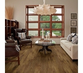Shaw Contract Terrain II Pirch 20 mil