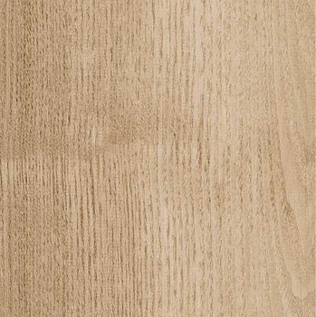 Shaw Contract Terrain II Thatch 12 mil
