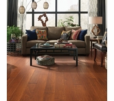 Shaw Coral Springs Burnside