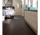 Shaw Coral Springs Conway