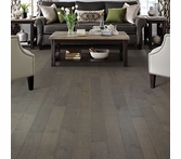 Shaw Eclectic Antebellum