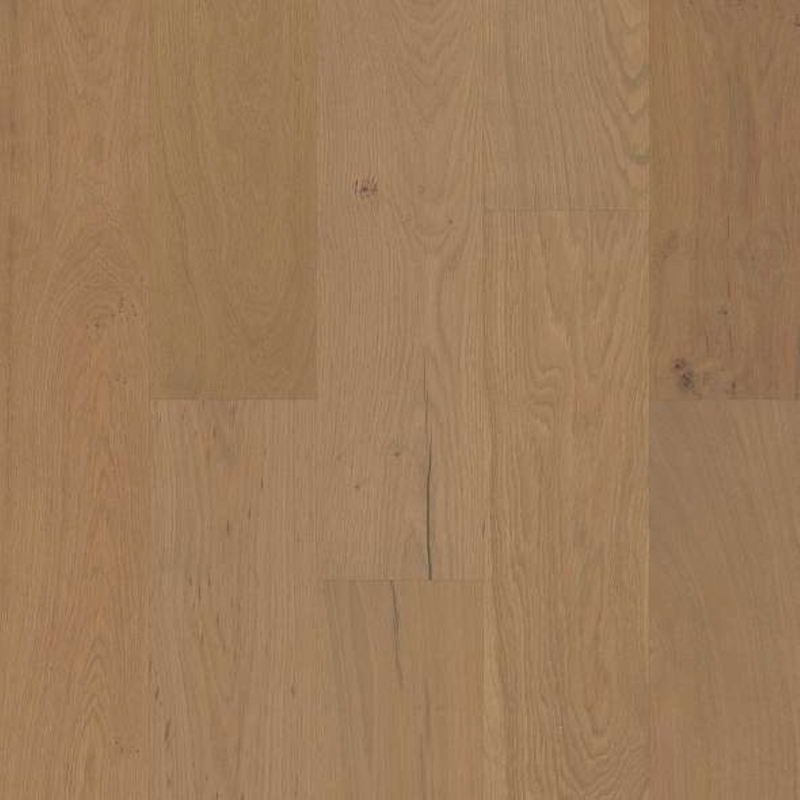 Shaw Ensemble Crema