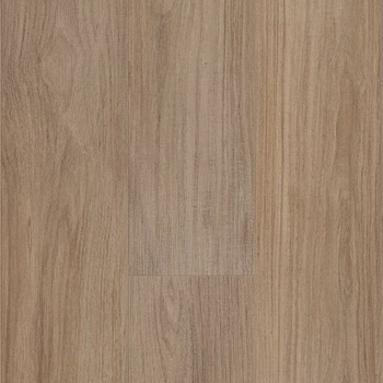 Shaw Floorte Distinction Hazelnut Brown
