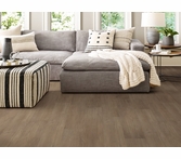 Shaw Floorte Endura Plus Casual Comfort