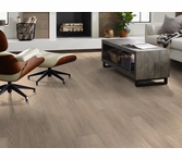 Shaw Floorte Endura Plus Simple Wash