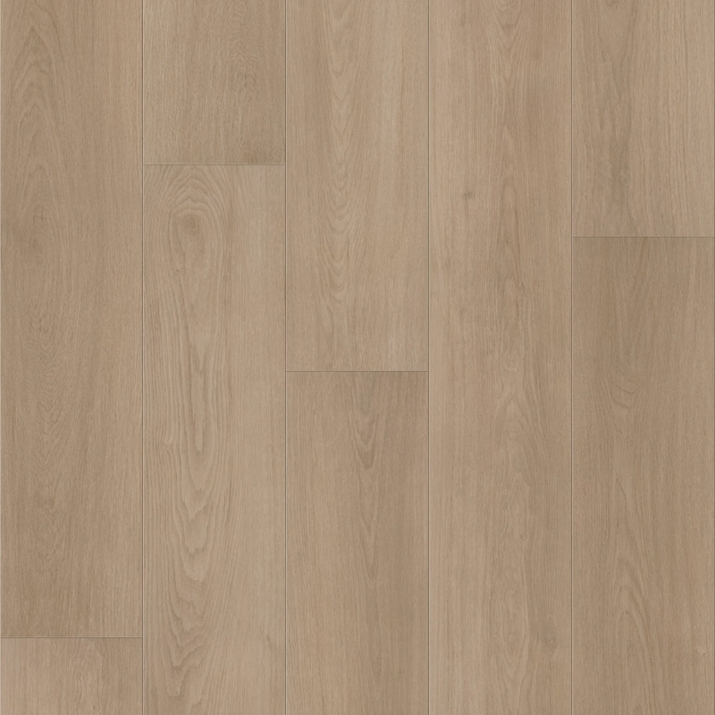 Shaw Floorte Fresh Take Bentwood Tan