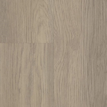 Shaw Infinite 20 Salt River