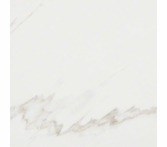 Shaw Maximus Calacatta 12 x 24