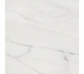 Shaw Maximus Carrara 12 x 24