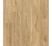 Shaw Oak Grove Hazelwood