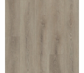 Shaw Paladin Plus Toasted Taupe