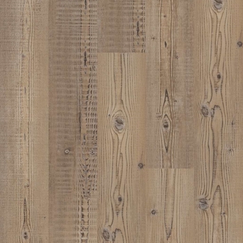 Shaw Set Up Accent Pine