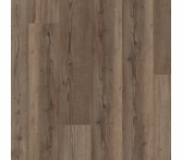Shaw Starting Line Weathered Brown