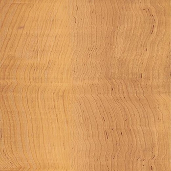 Shaw Stratum Allegheny Maple