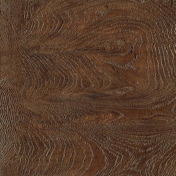 Shaw Stratum Eiris Morchella