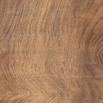 Shaw Stratum Oconee Walnut