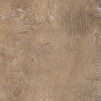 Shaw Stratum Willamette Oak