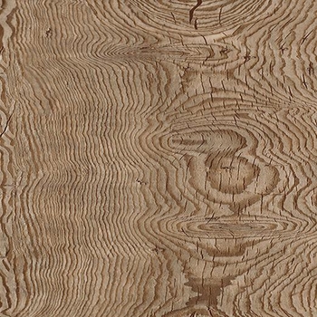 Shaw Stratum Wimena Pina