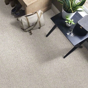 Shaw Take The Floor Accents I/II