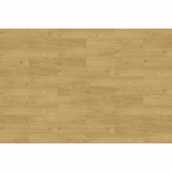 Shaw Uncommon Ground Gallery Maple 4" x 36"
