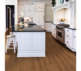 Six Degrees Radius Vintage VanBuren