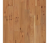 SLCC West Winds Premium Isabel
