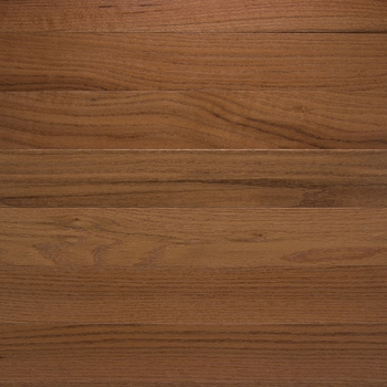 Somerset Classic Butterscotch 2 1/4" Solid