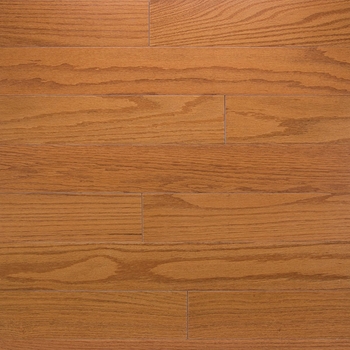 Somerset Color Plank Golden Oak 5" Solid