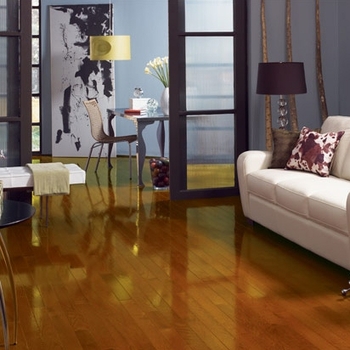 Somerset High Gloss Butterscotch 2 1/4"