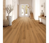 Stanton NuvoLux 8 Golden Oak
