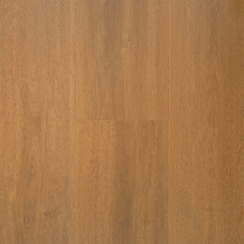 Stanton NuvoLux 8 Golden Oak