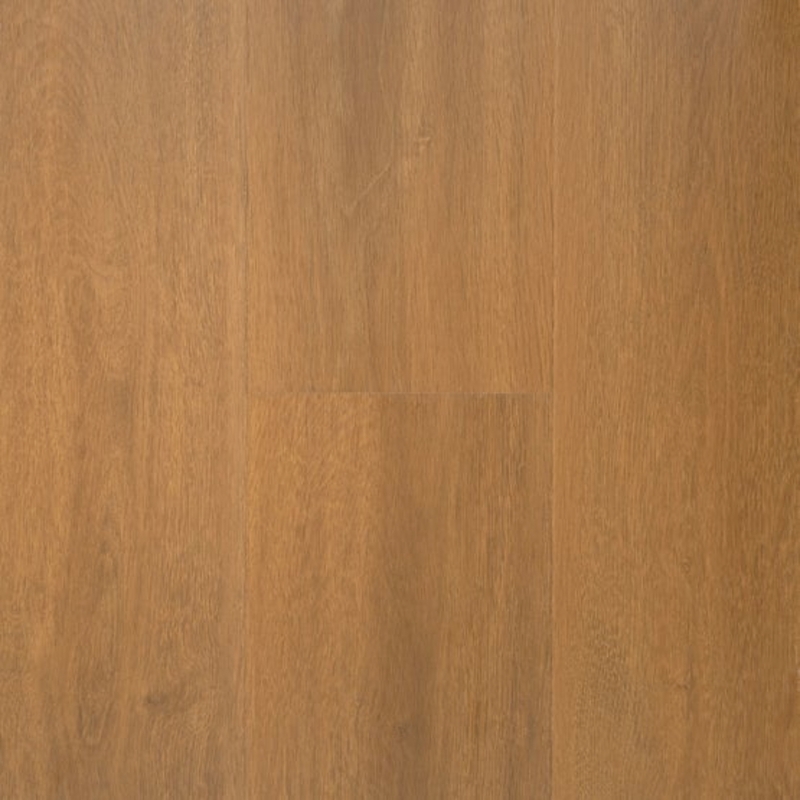 Stanton NuvoLux 8 Golden Oak