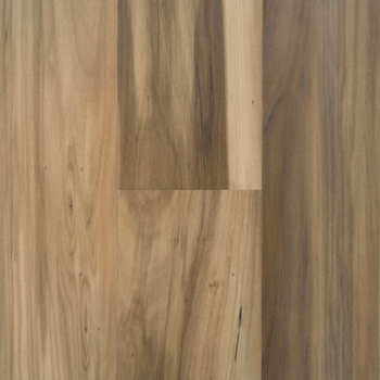 Stanton NuvoLux 8 Teak