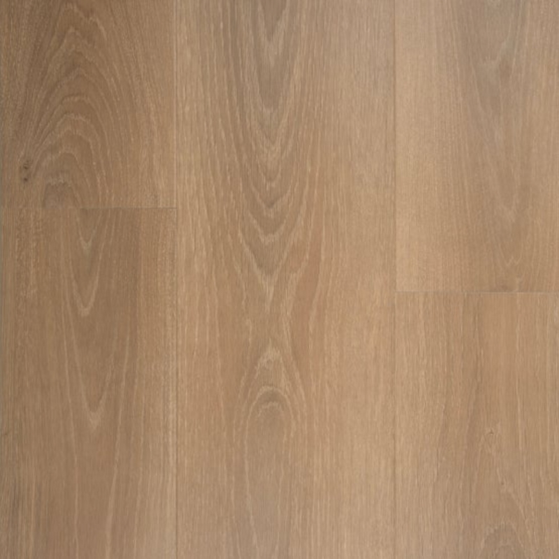 Stanton NuvoMax Toffeenut