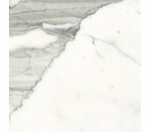 StonePeak Classic Statuarietto 12" x 24"