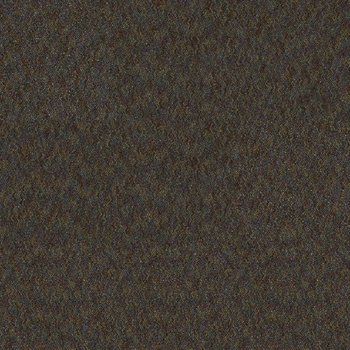 Tandus Applause III Tortoise Shell Carpet Tile