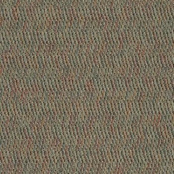 Tandus Forward Motion Floral Spray Carpet Tile