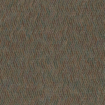 Tandus Forward Motion Spring Forward Carpet Tile