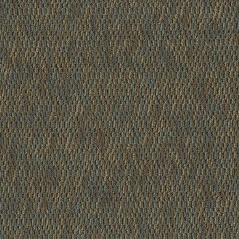 Tandus Forward Motion Tidal Action Carpet Tile