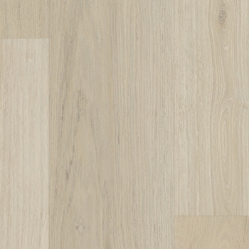 Tarkett Evergen Divine Presecco
