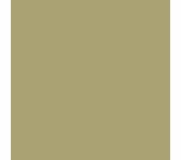 Tarkett Millwork Monarch Iguana 6" X 8'