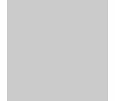 Test Item