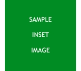 Test Item