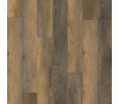 Trucor 5 Amber Pine