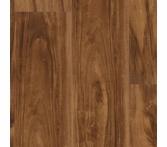 Trucor Alpha Spice Acacia