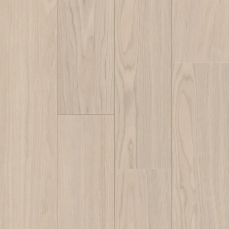 Trucor Bravo Adalbero Ash