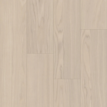 Trucor Bravo Adalbero Ash